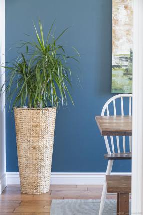 Property listing for 19 Foster St., Hamilton, Ontario