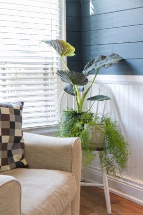 Property listing for 19 Foster St., Hamilton, Ontario