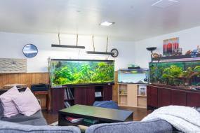 Property listing for #3-1015 Upper Gage Ave., Hamilton, ON