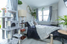 Property listing for 31 Alanson St., Hamilton, ON