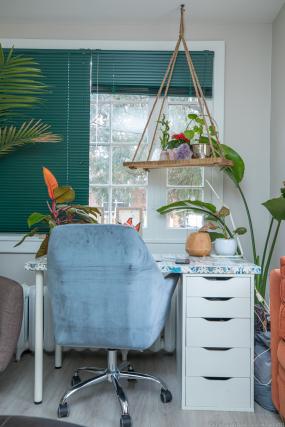 Property listing for 31 Alanson St., Hamilton, ON