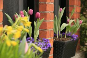 Property listing for 197 George St., Hamilton, ON