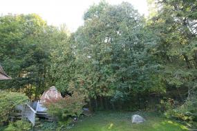 Property listing for 908 Bishop Pl., Ancaster, ON