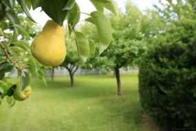 Property listing for 182 Solomon Cres., Hamilton, ON