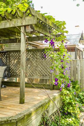 Property listing for 55 Chatham St., Hamilton, Ontario