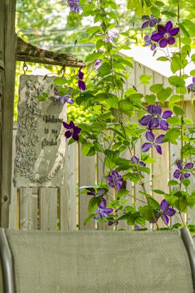 Property listing for 55 Chatham St., Hamilton, Ontario