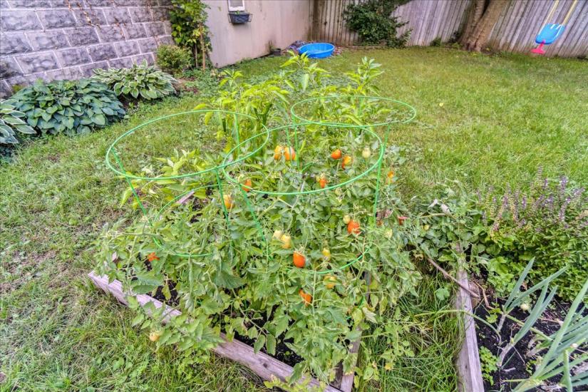 Property listing for 133 Longwood Rd. N., Hamilton, ON