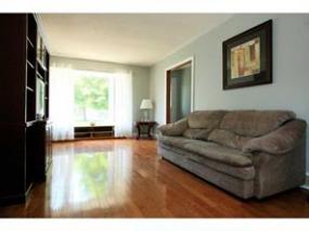 Property listing for 6 Spy Crt., Stoney Creek, ON