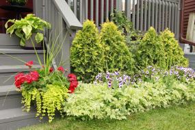 Property listing for 472 King William St., Hamilton, ON